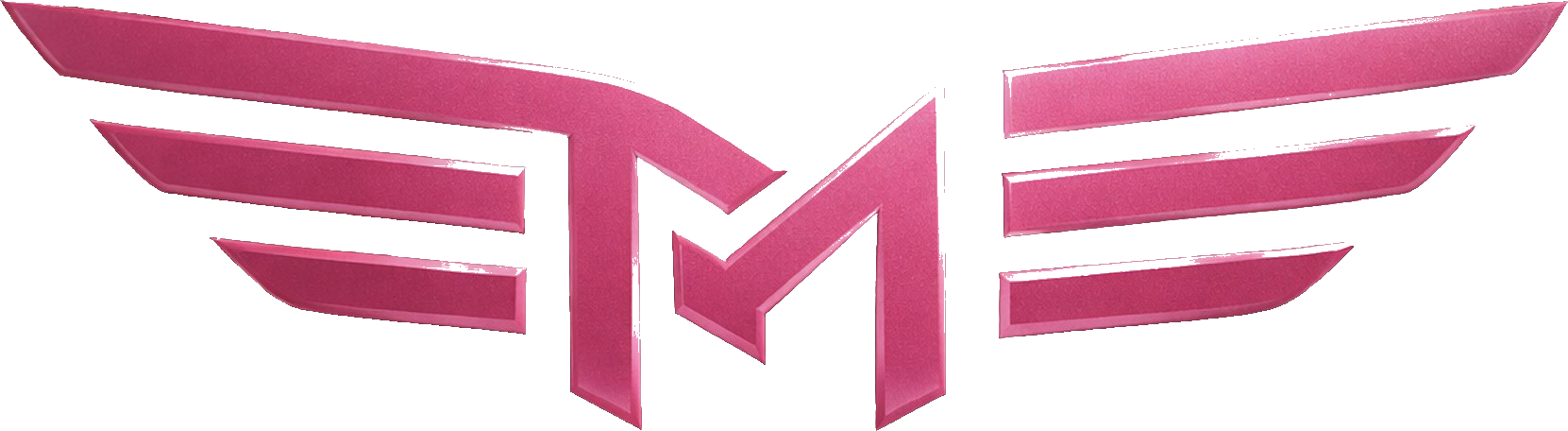 FemMotor Logo